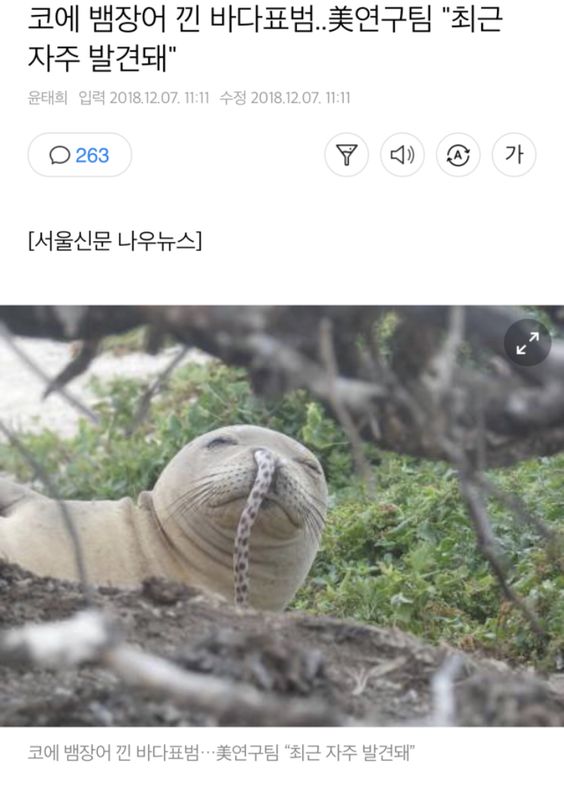 콘텐츠 이미지