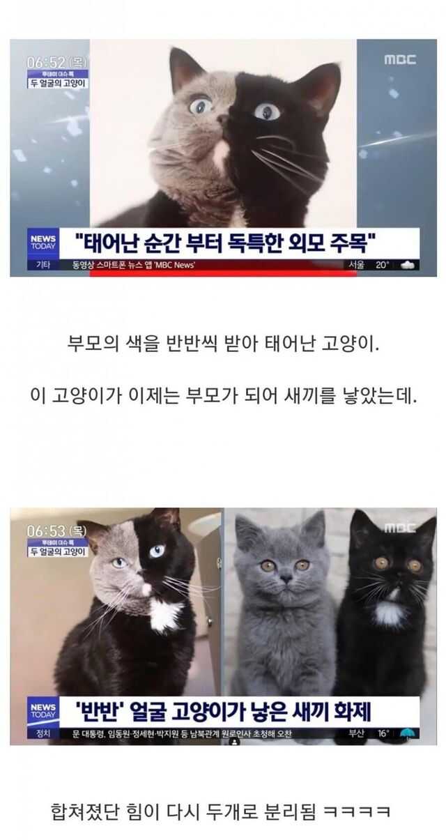 추천콘텐츠 썸네일