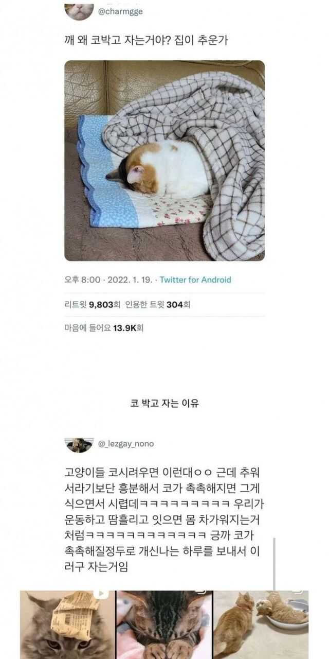 콘텐츠 이미지