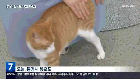콘텐츠 이미지
