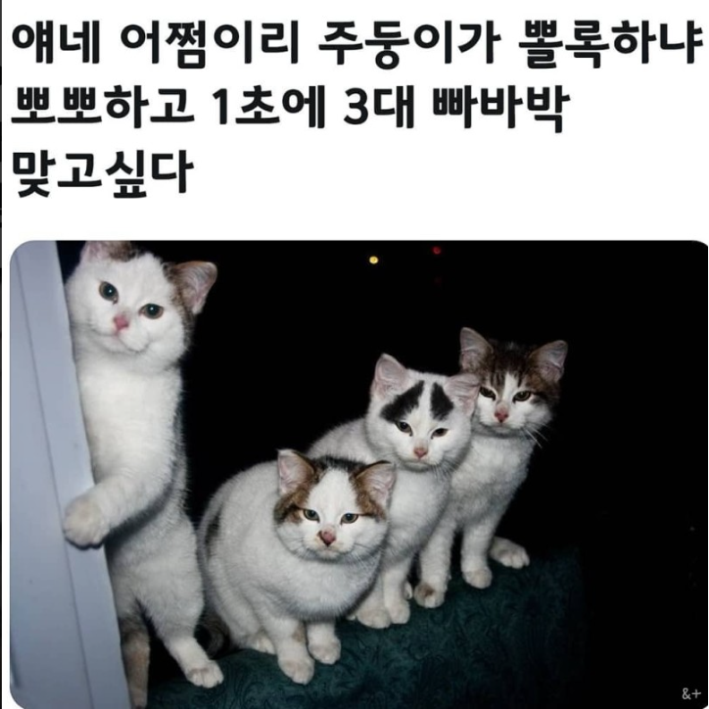 추천콘텐츠 썸네일