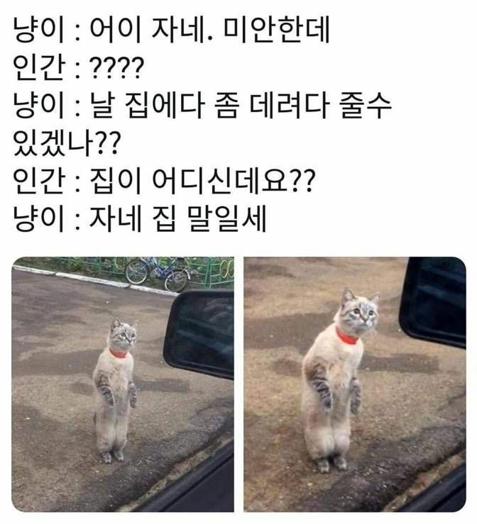 콘텐츠