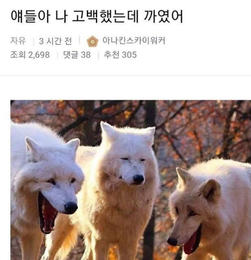 콘텐츠