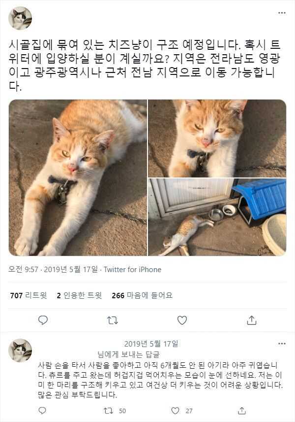 콘텐츠 이미지