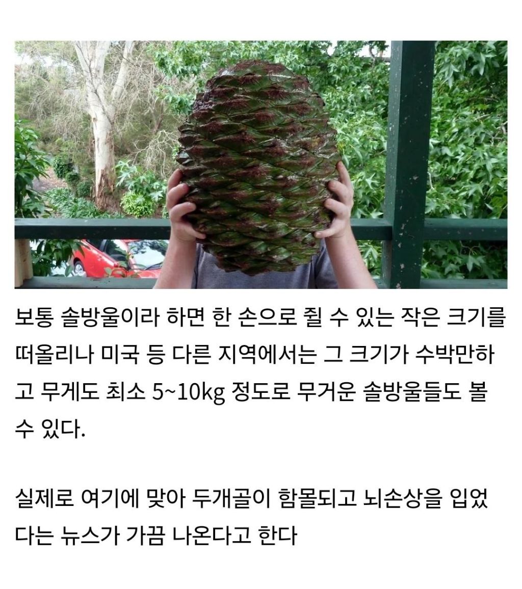 콘텐츠 이미지