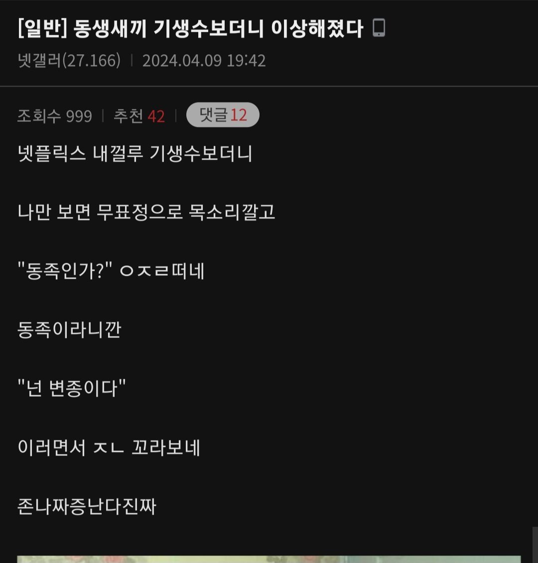 콘텐츠 이미지