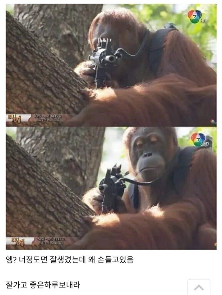 콘텐츠 이미지