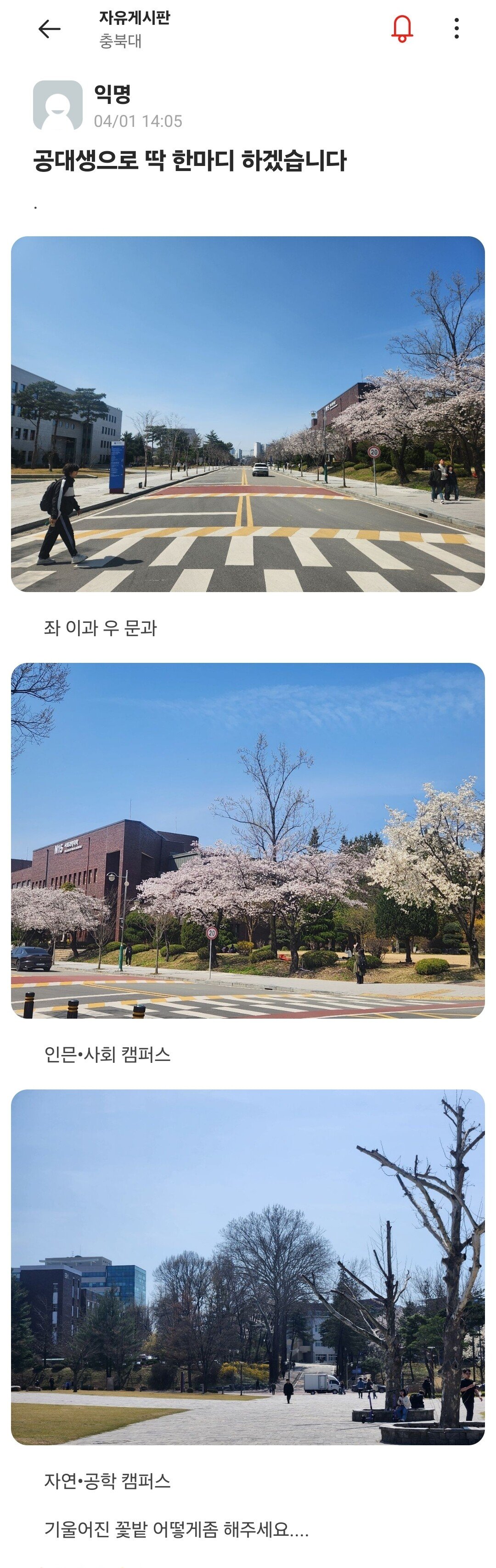 콘텐츠 이미지