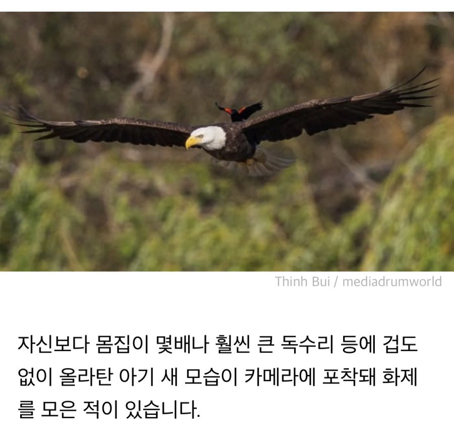 콘텐츠 이미지
