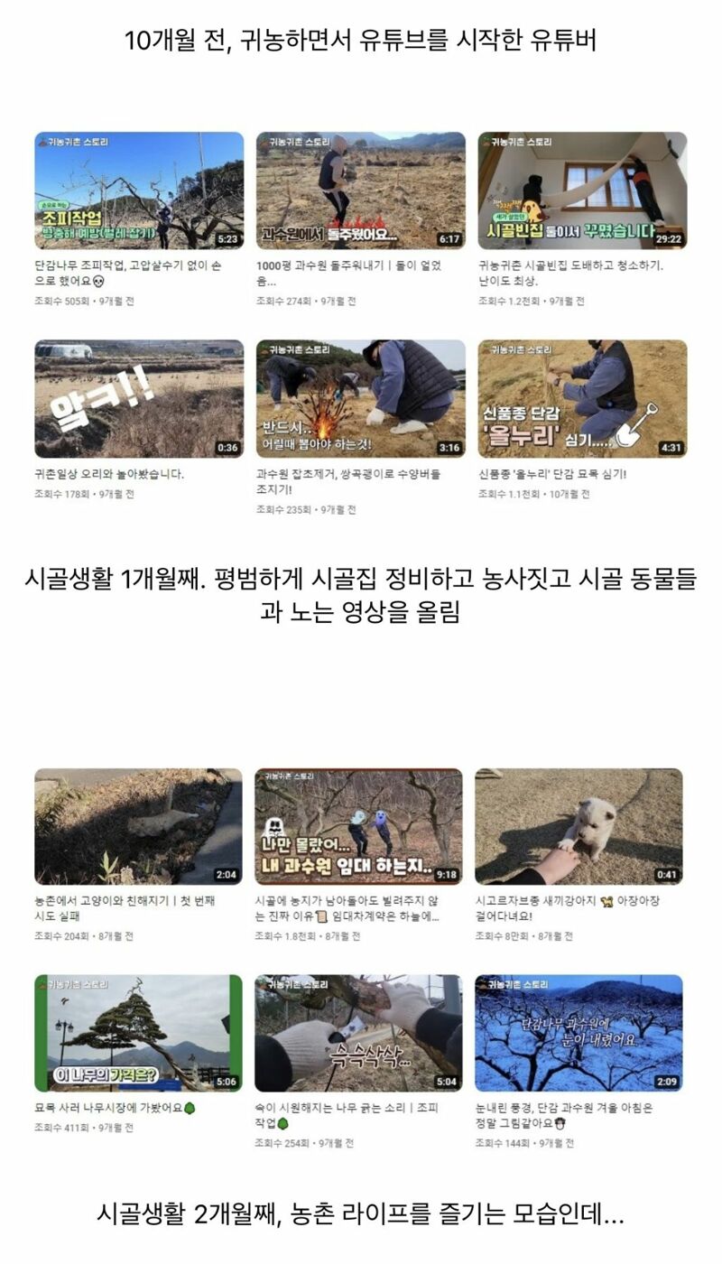콘텐츠 이미지