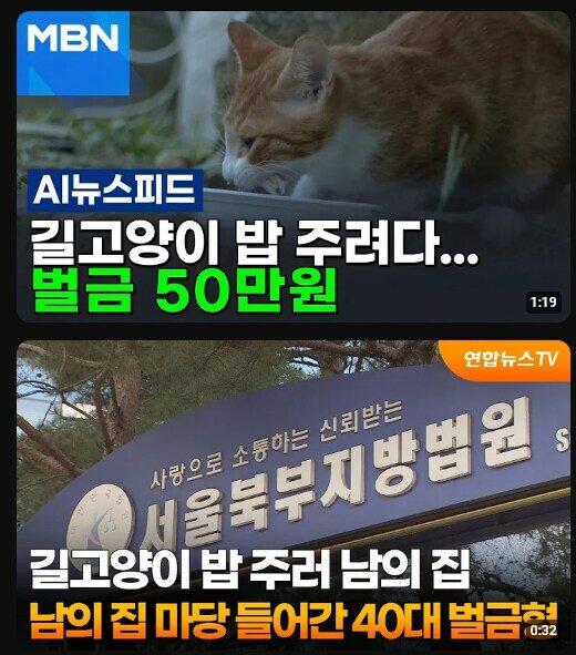 콘텐츠 이미지