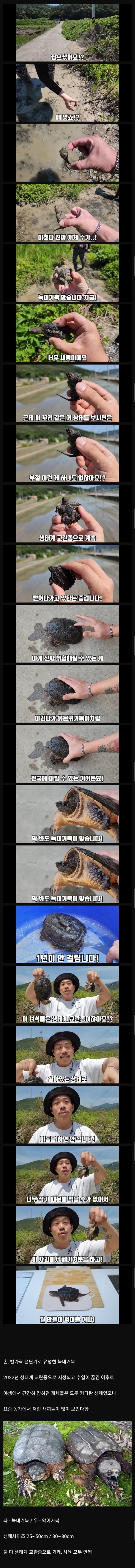 콘텐츠 이미지