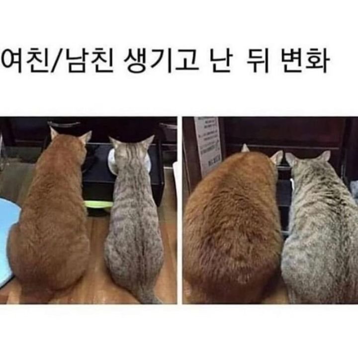 콘텐츠 이미지