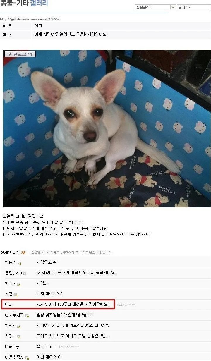 콘텐츠 이미지