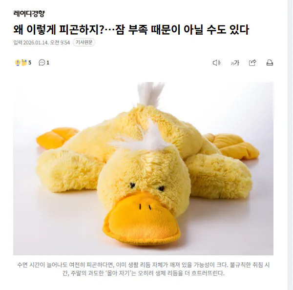 콘텐츠 이미지