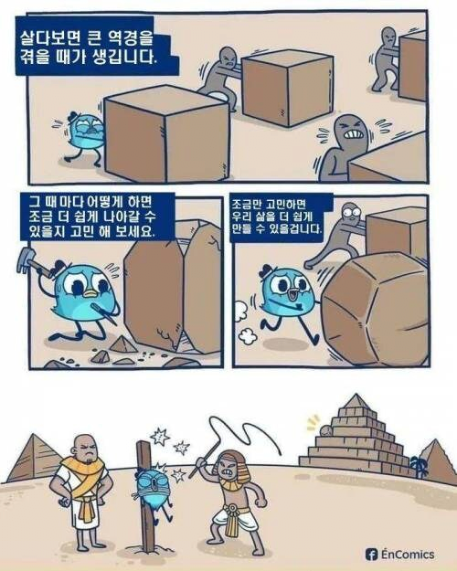 콘텐츠 이미지