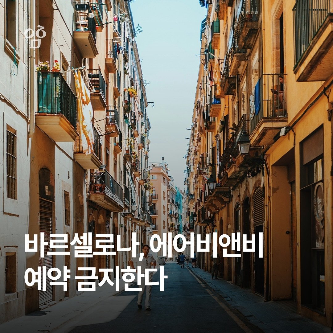 콘텐츠 이미지