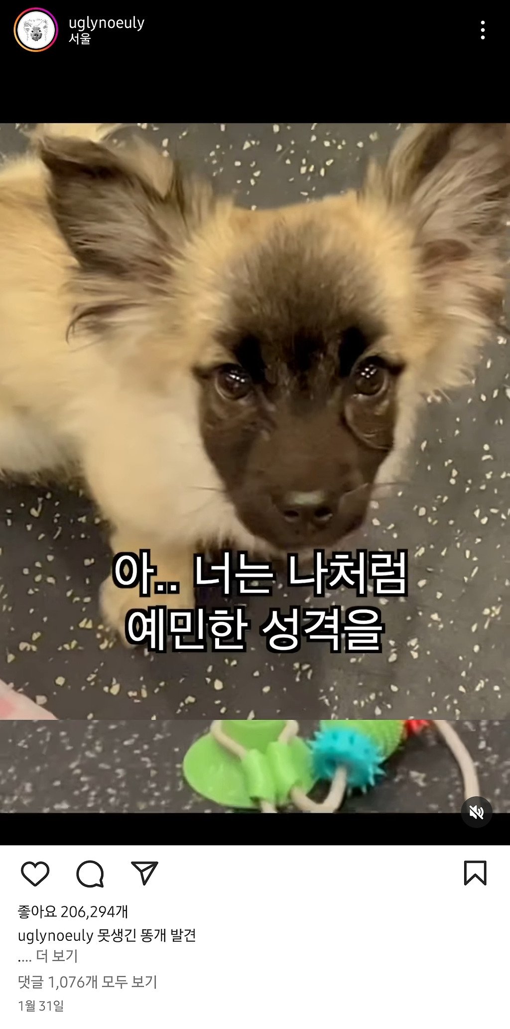 콘텐츠 이미지