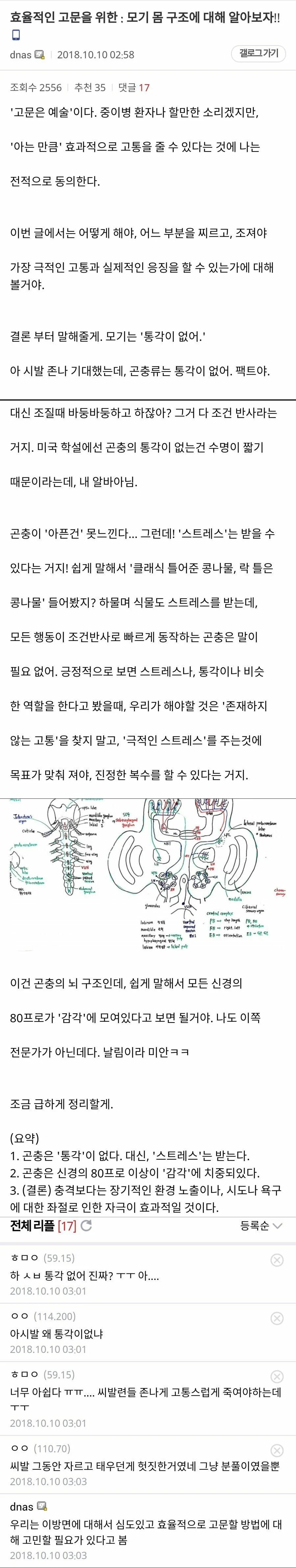 콘텐츠 이미지