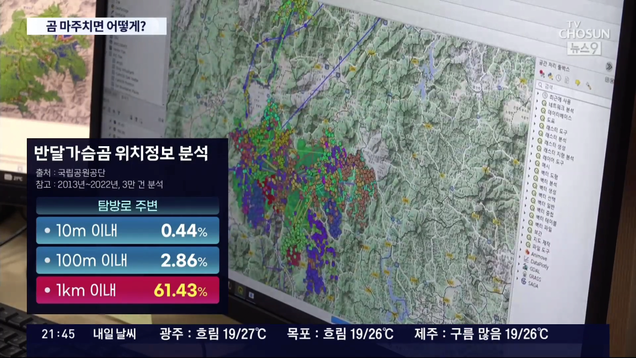 콘텐츠 이미지