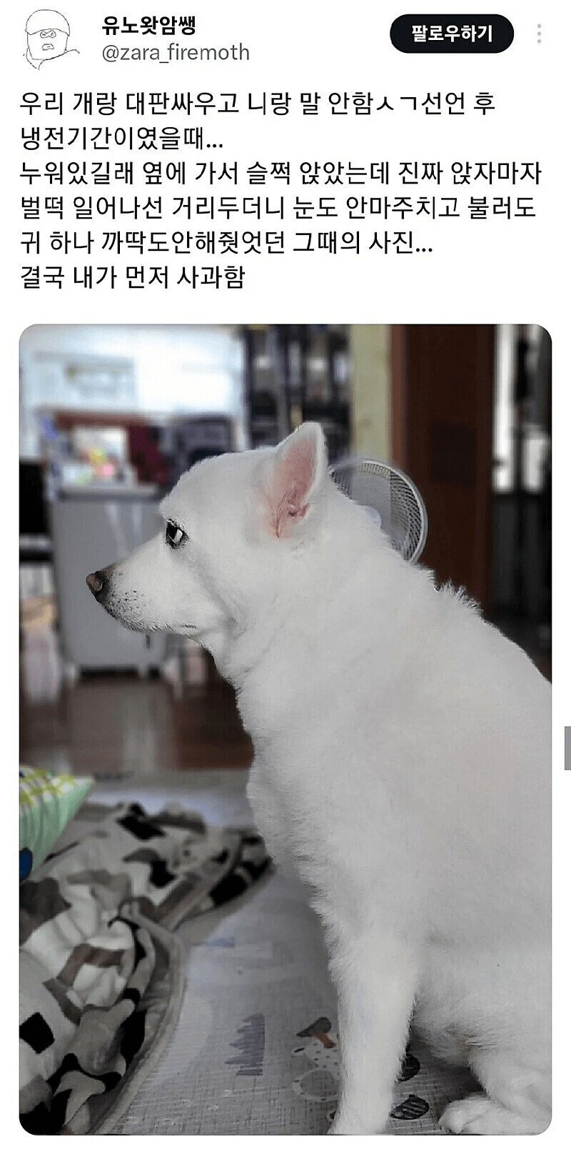 콘텐츠 이미지