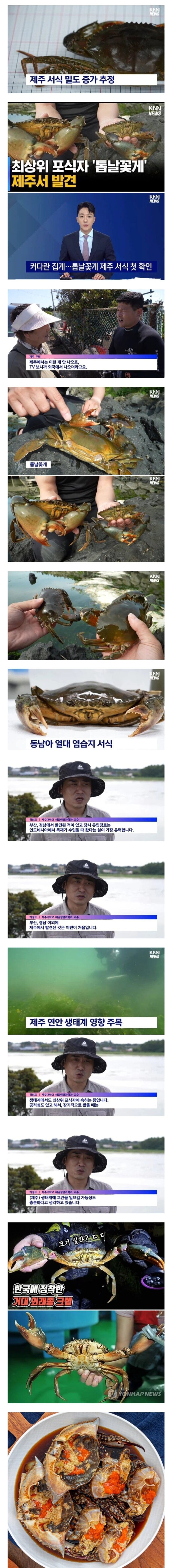 콘텐츠 이미지