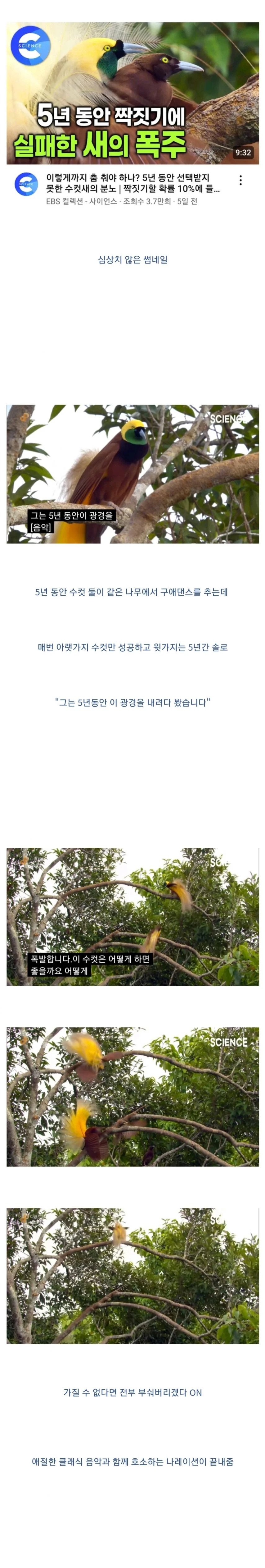 콘텐츠 이미지