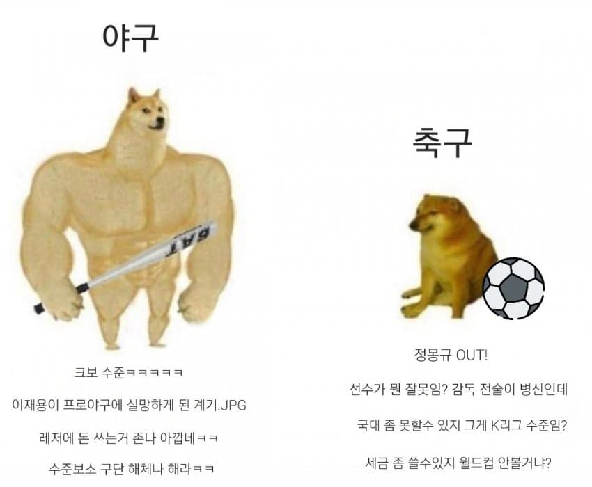콘텐츠 이미지