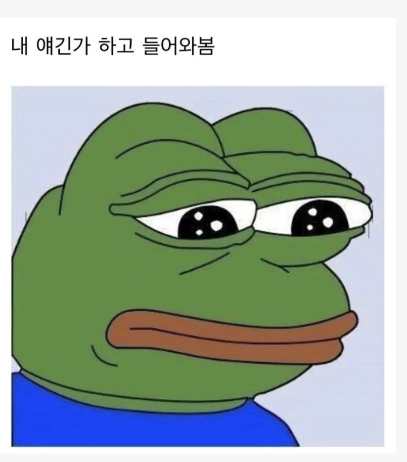 콘텐츠 이미지