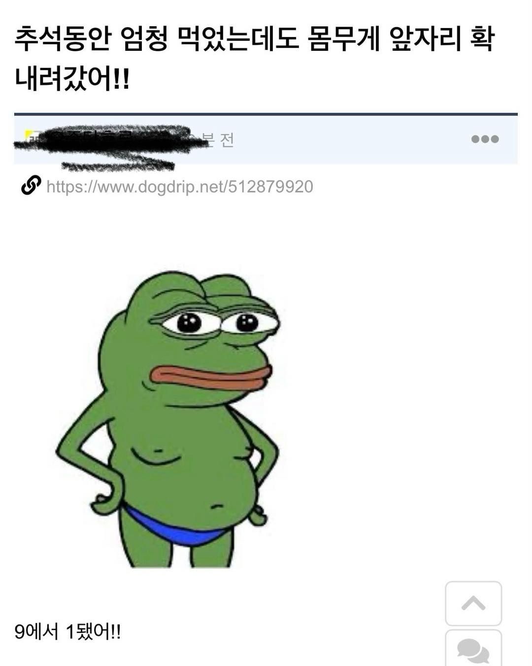 콘텐츠 이미지