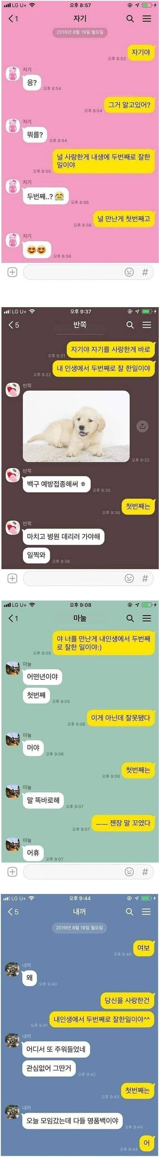 콘텐츠 이미지