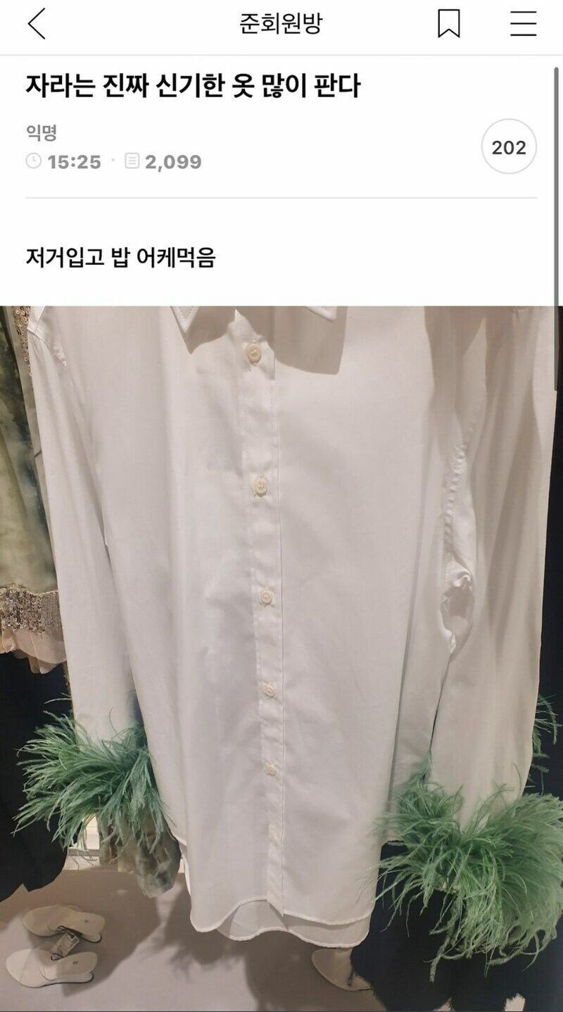 콘텐츠 이미지