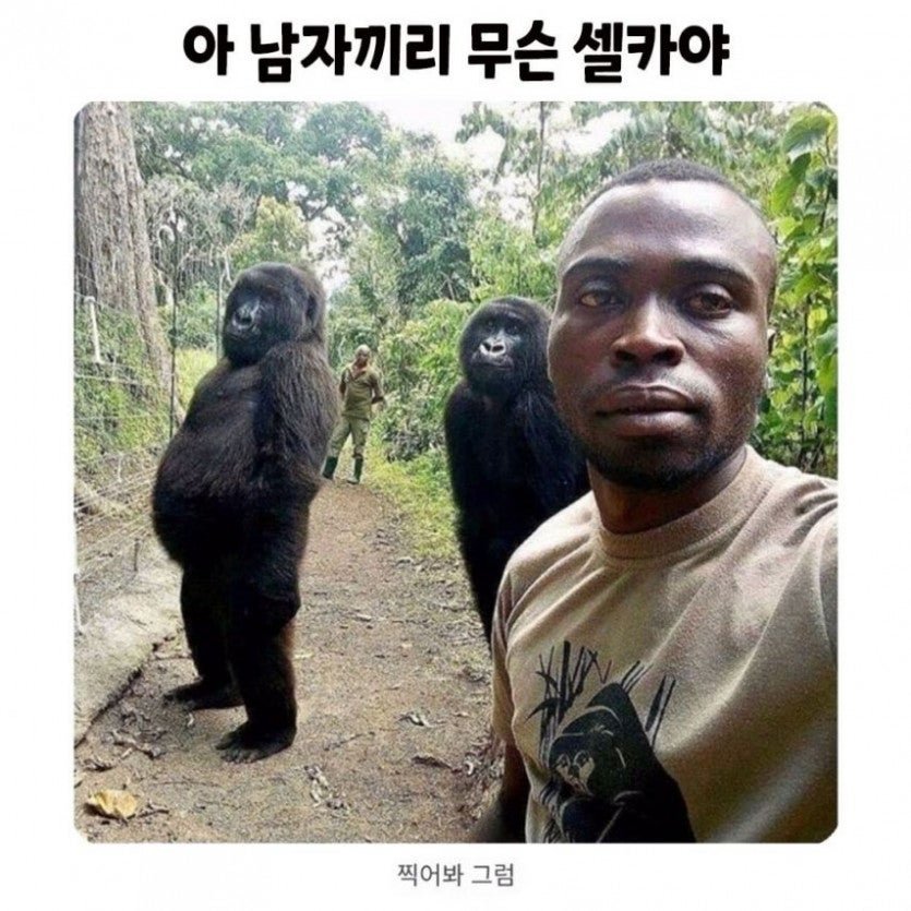 콘텐츠 이미지