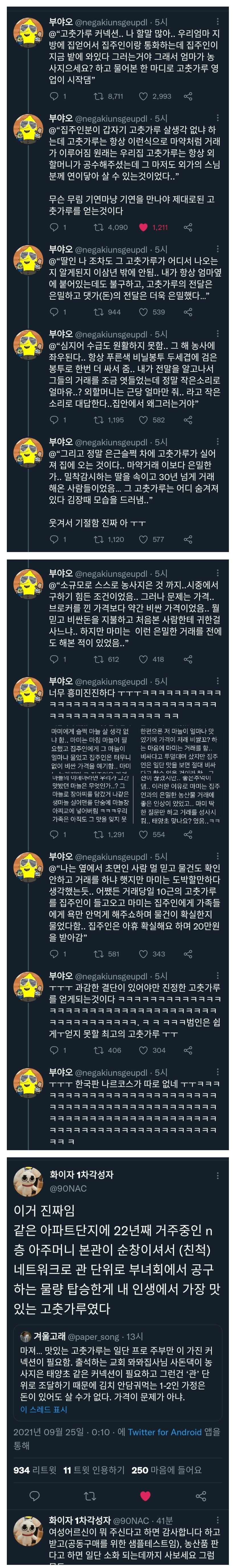 콘텐츠 이미지