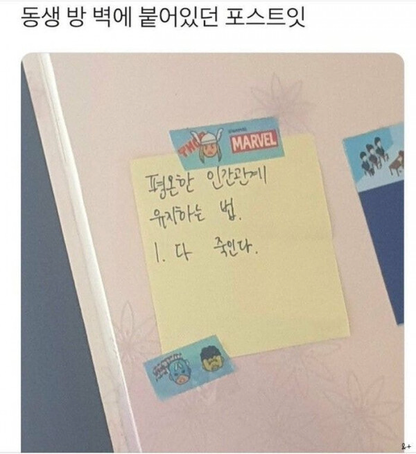 콘텐츠 이미지