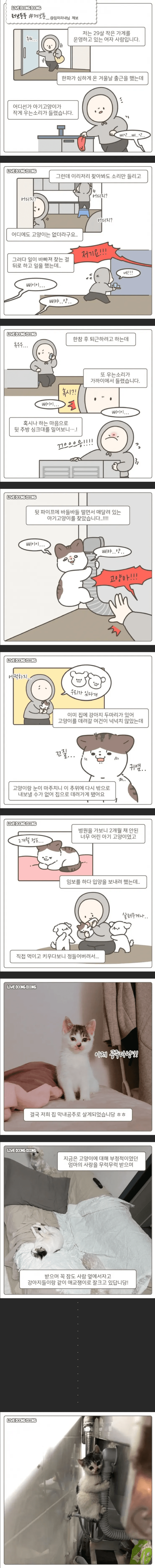 콘텐츠 이미지