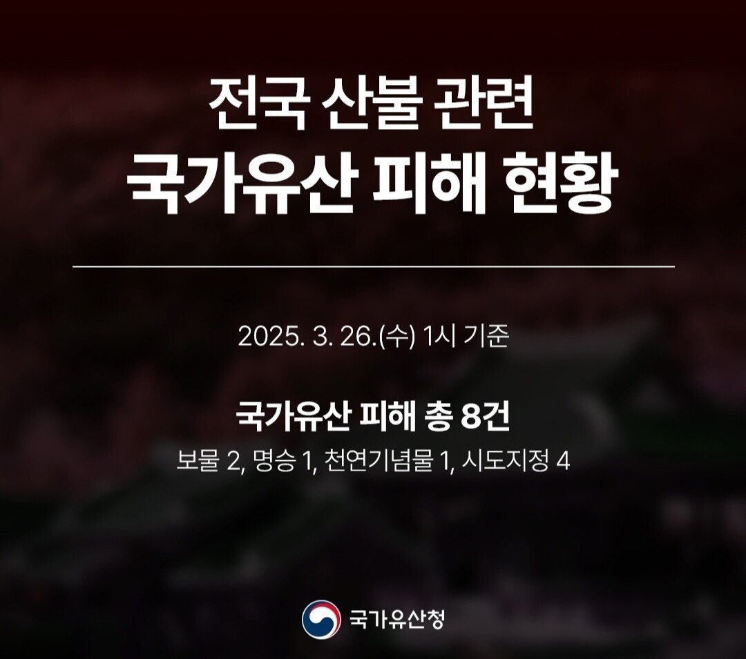 콘텐츠 이미지