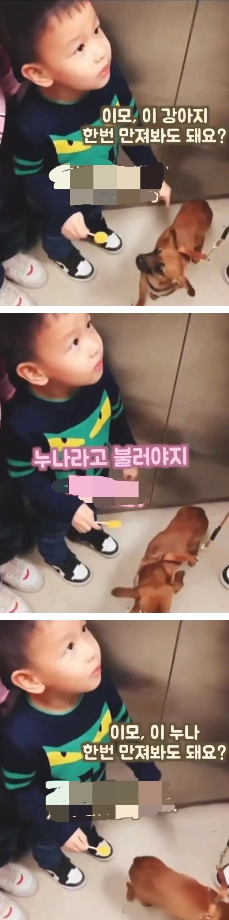 콘텐츠 이미지