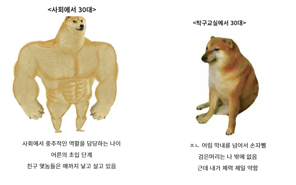 콘텐츠 이미지