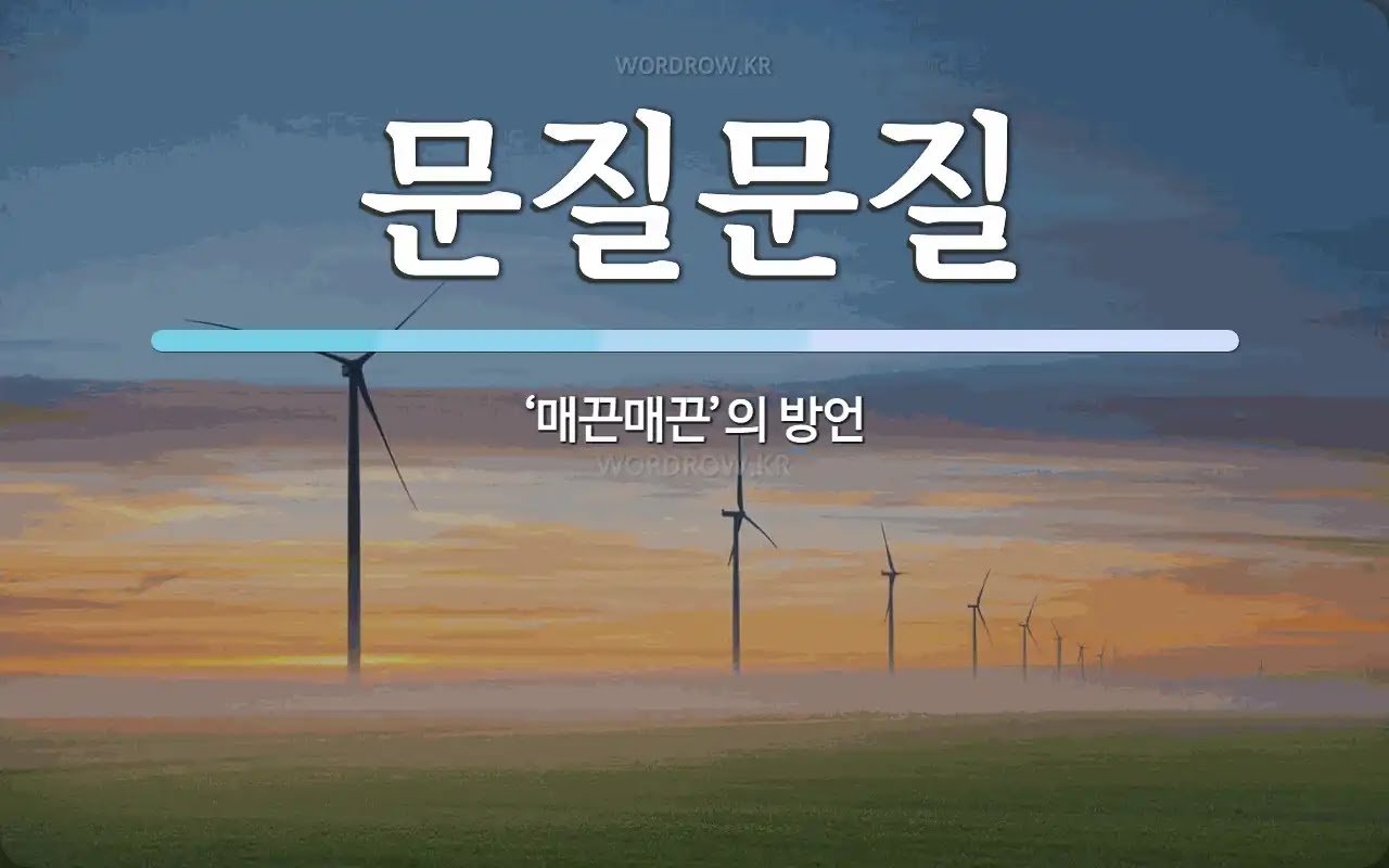콘텐츠 이미지