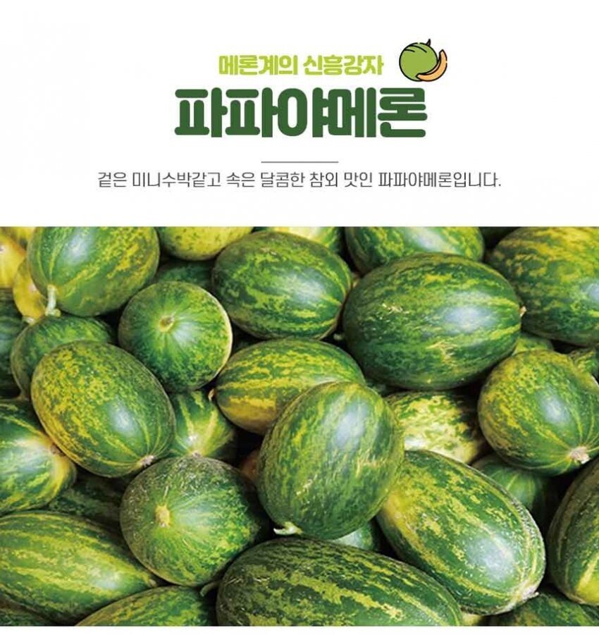 콘텐츠 이미지