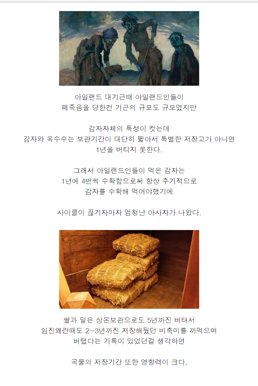 콘텐츠 이미지