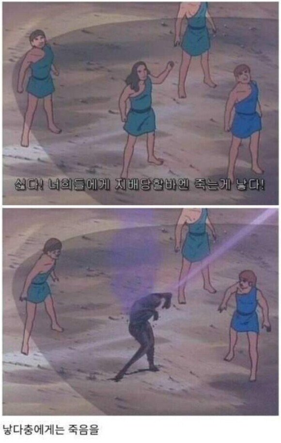 콘텐츠 이미지