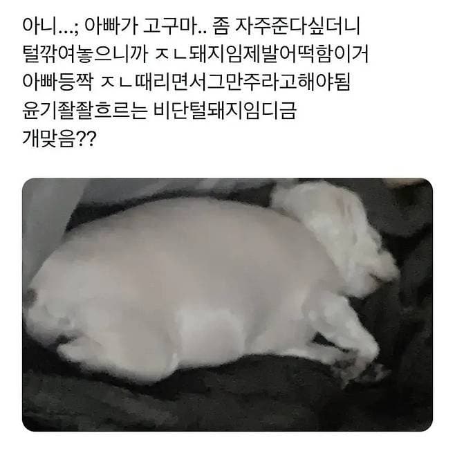 카테고리 이미지