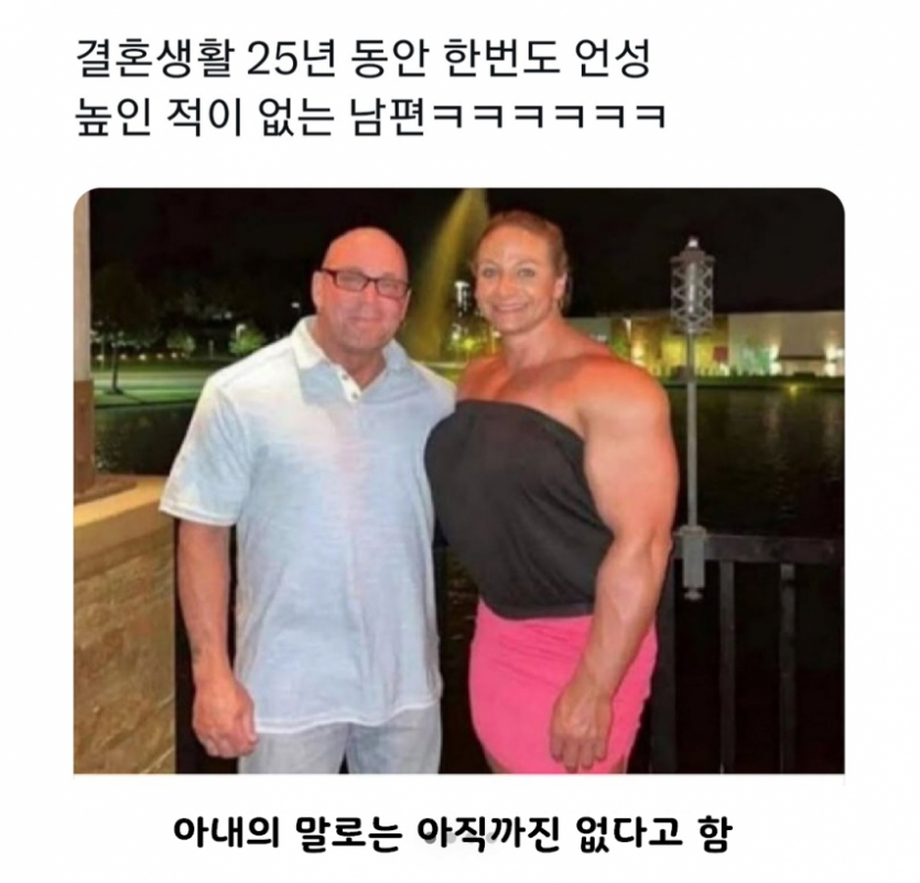 콘텐츠 이미지