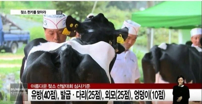 콘텐츠 이미지