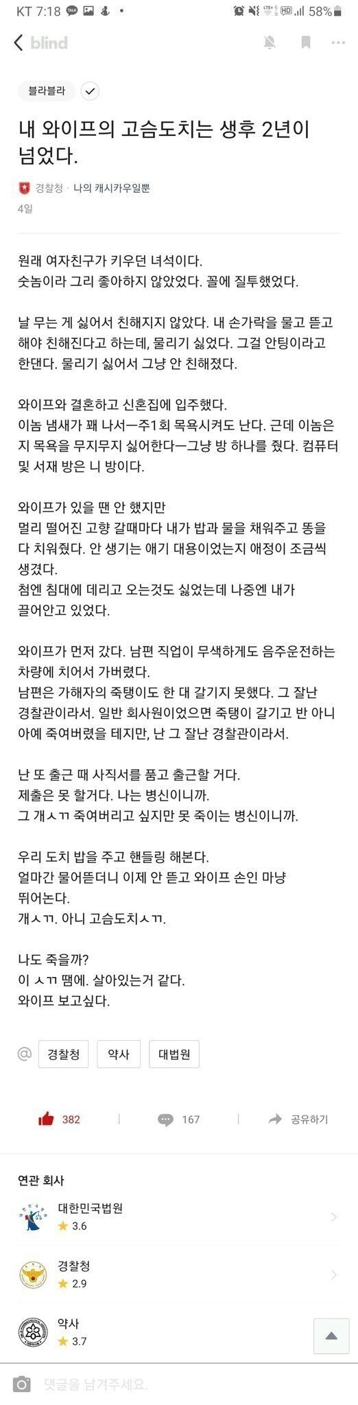 콘텐츠 이미지
