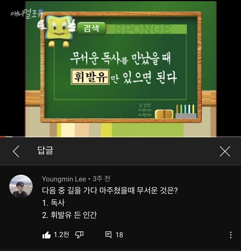 콘텐츠 이미지