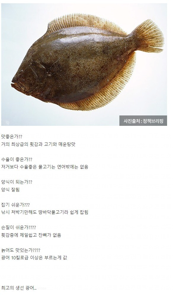 콘텐츠 이미지