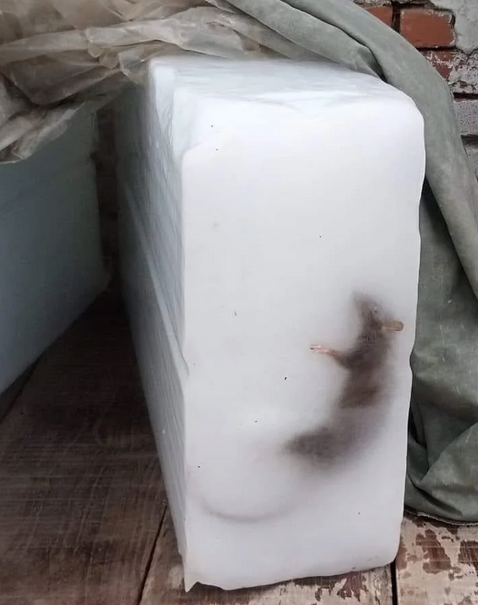 콘텐츠 이미지